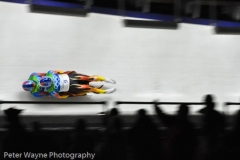 Olympic-Luge-6241
